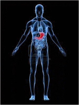 Informations patients responsables pathologies bucco dentaires